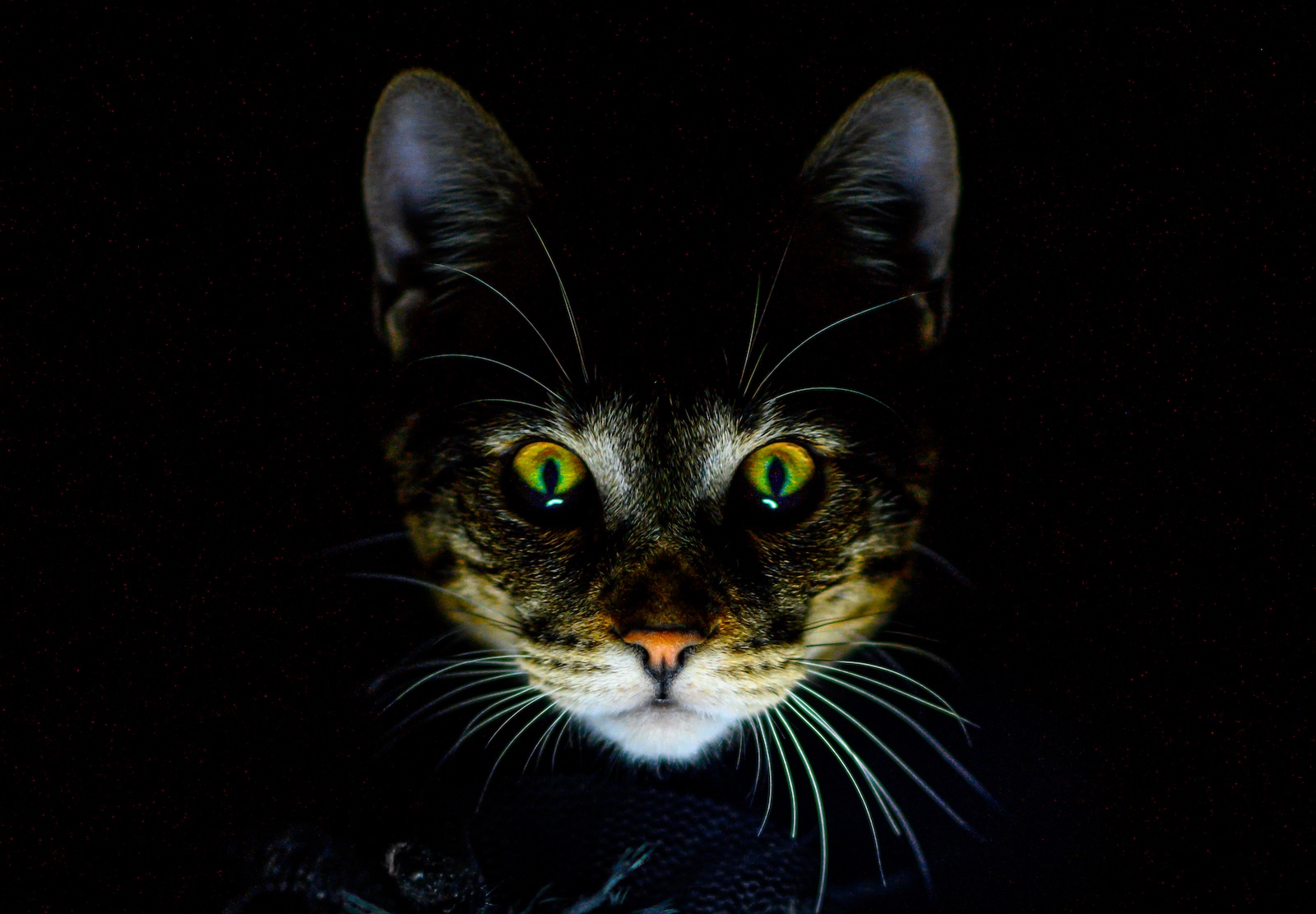 5 errori da evitare quando scegli un'agenzia di comunicazione